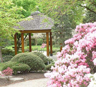 Planten und Bloomen Freizeitpark