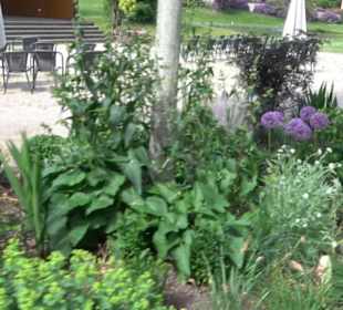 Kurpark Klosterreichenbach