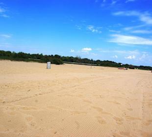 Freier kostenloser Hundebereich