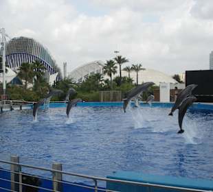 Aquarium L’Oceanogràfic