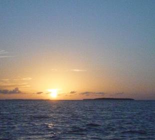 Sonnenuntergang bei der Dolphin Tour