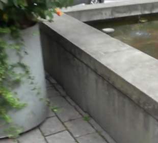 Stadtrundgang Tettnang