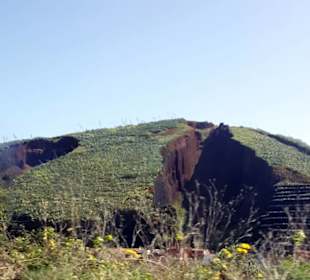 Vulkan Montaña del Palmar in Buenavista del Norte