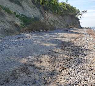 Strand Diedrichshagen