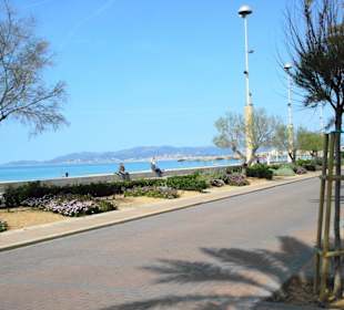 Ansichten der Playa dePalma