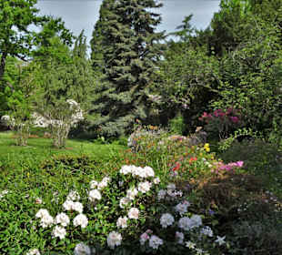 Eindrücke vom Rundgang durch den Berggarten