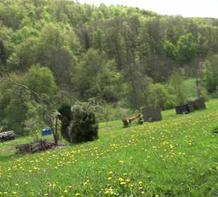 Wandertour durchs Reissenbachtal Oberhausen