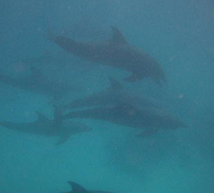 Unvergessliches Erlebnis