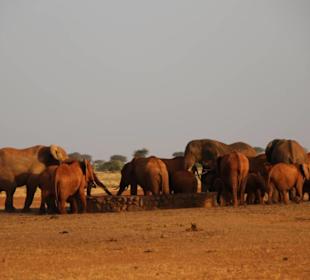 Tsavo East 