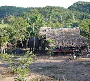 Hütte im Elephant Village