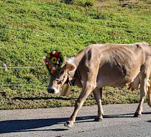Wandern Klosters