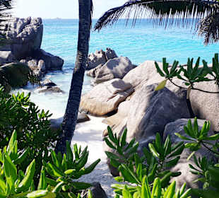 Anse Patates