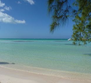 Rum Point