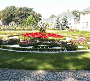 Dziedziniec przed pałacem