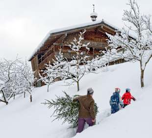 Wandern Kramsach 