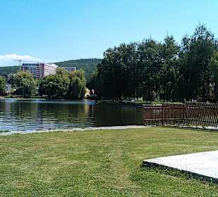 Complexul De Agrement Şi Sport Mureşul 