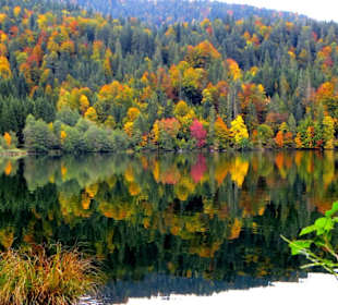 Herbststimmung am Barmsee