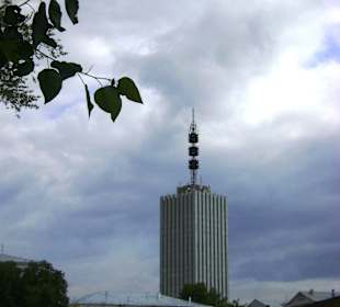 Wysotka