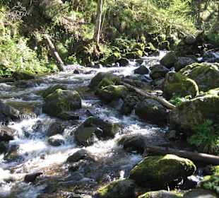 Leise rauscht die Ravenna