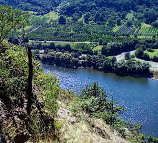 Moseltalbrücke Koblenz