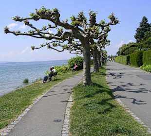 Uferpromenade