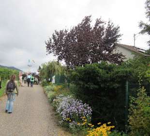 Kulinarische Weinbergswanderung