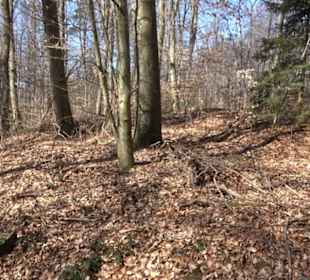 Geschichtlicher Lehrpfad Einsiedel