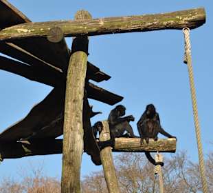 Zoo Osnabrück