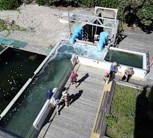 Blick auf das Außengelände der Station
