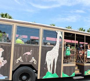Transfer bus zum Park