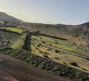 Stadtrundgang Puerto del Rosario