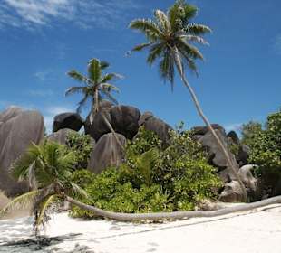 Schönster Strand der Welt