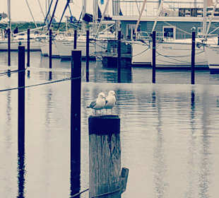 Yachthafen Heiligenhafen