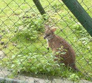 Zoo Olomouc