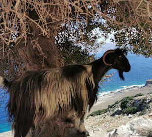 Wandern Georgioupolis