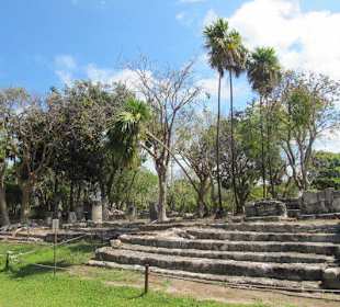 El Meco