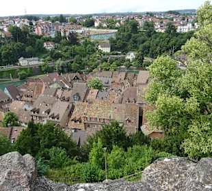 Ruine Laufenburg Ausblick