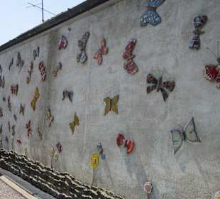 Das Schmetterlingshaus Villa Garzoni