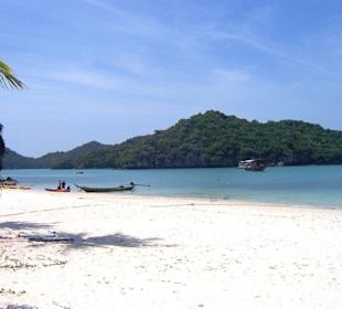 Sehr schöner Strand