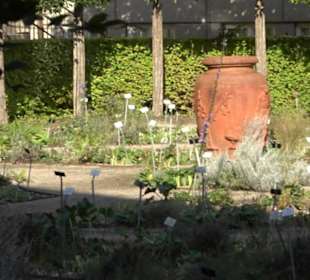 Botanischer Garten München