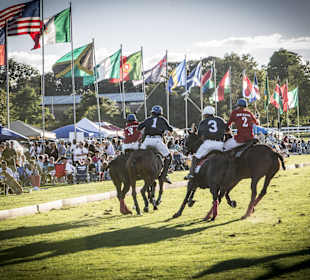 Newport International Polo Series