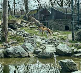 Tiergarten Straubing