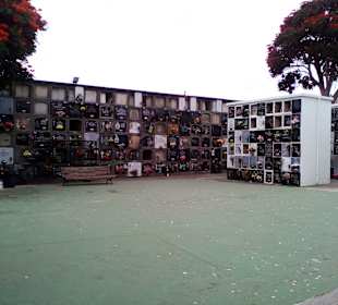 Sehenswürdigkeiten in Arucas