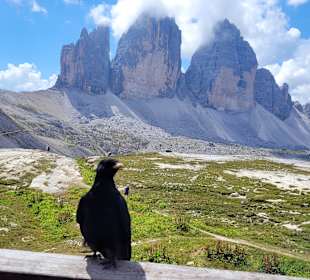 Wandern Sesto / Sexten