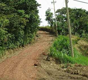 Typische Straßen bei Monteverde