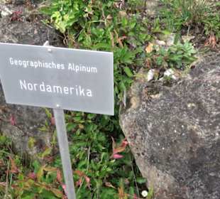 Alpinum