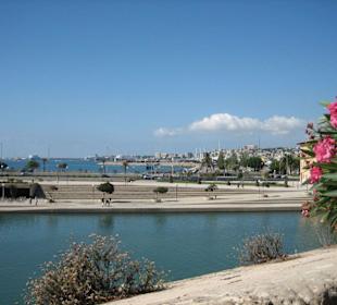 Palma Hafen