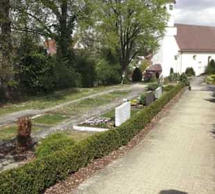 Friedhof