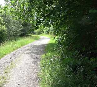 Premiumspazierweg Früchtetrauf-Leisawegle