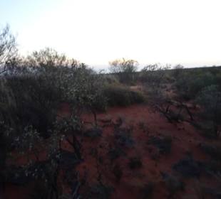 Ayers Rock / Uluru